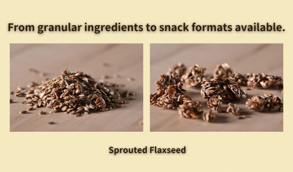 特集ページバナー